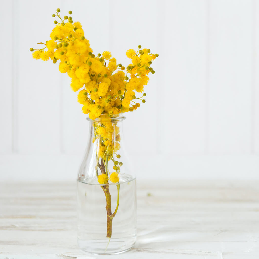 glass-vase-with-pretty-yellow-flowersedit